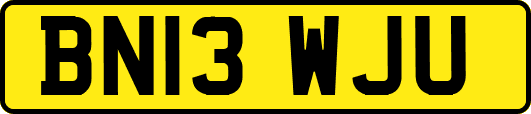 BN13WJU