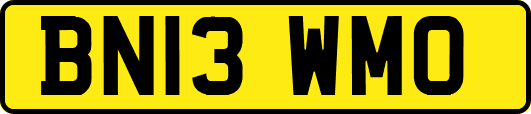 BN13WMO