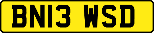 BN13WSD