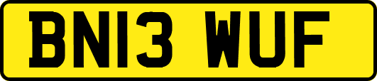 BN13WUF