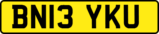 BN13YKU