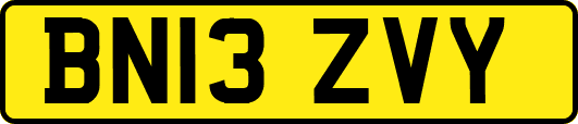 BN13ZVY