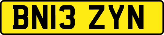 BN13ZYN