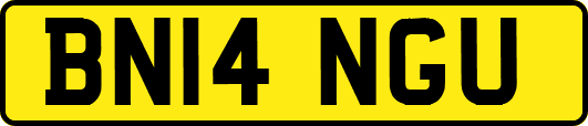 BN14NGU