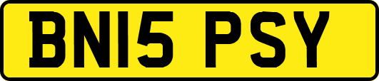 BN15PSY