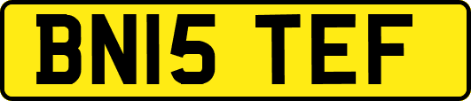 BN15TEF