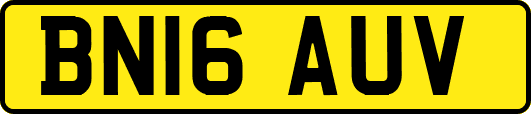 BN16AUV