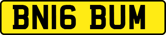 BN16BUM