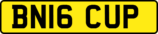 BN16CUP