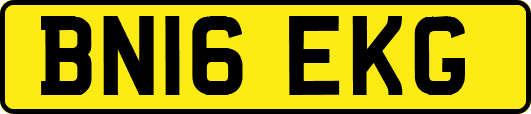 BN16EKG