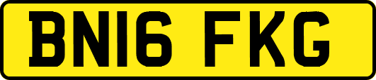 BN16FKG