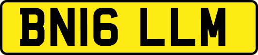 BN16LLM