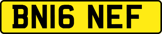 BN16NEF