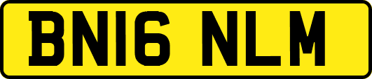 BN16NLM