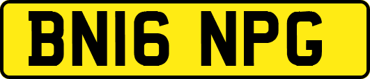 BN16NPG