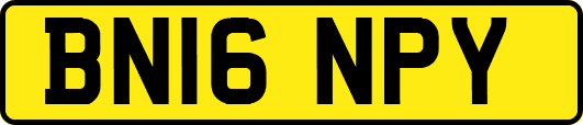 BN16NPY