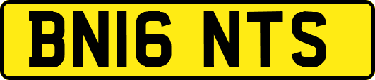 BN16NTS