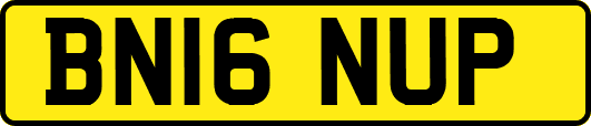 BN16NUP