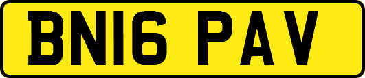BN16PAV