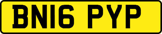 BN16PYP