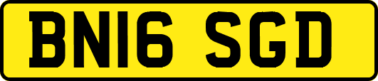 BN16SGD