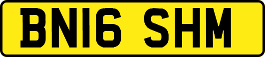 BN16SHM