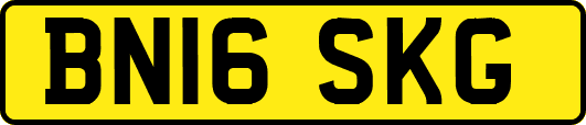 BN16SKG