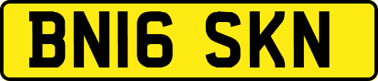 BN16SKN