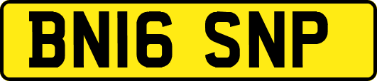 BN16SNP