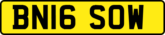 BN16SOW