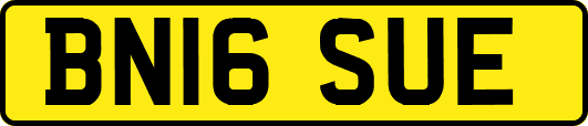 BN16SUE