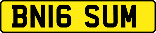 BN16SUM