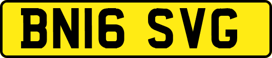 BN16SVG