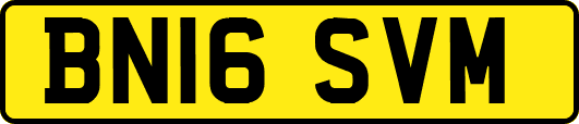 BN16SVM