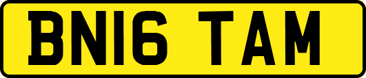 BN16TAM