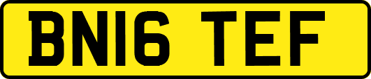 BN16TEF