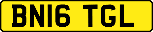 BN16TGL