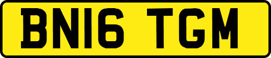 BN16TGM