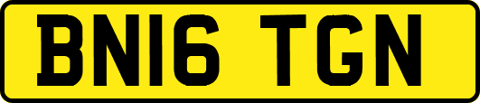 BN16TGN