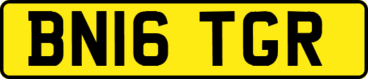 BN16TGR