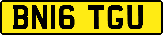 BN16TGU