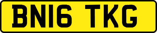 BN16TKG