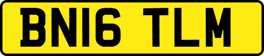 BN16TLM