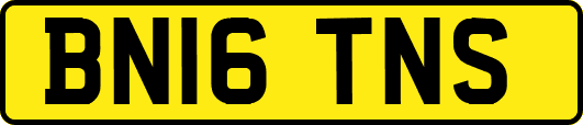 BN16TNS