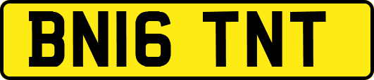 BN16TNT
