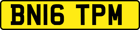 BN16TPM