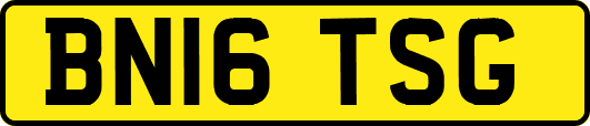BN16TSG