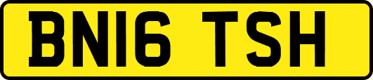 BN16TSH