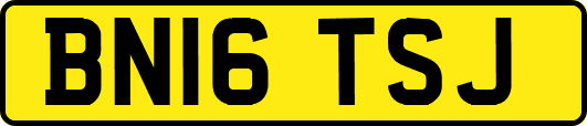 BN16TSJ