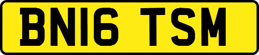 BN16TSM